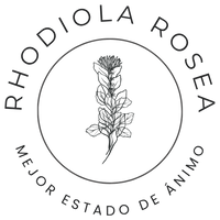 Icono