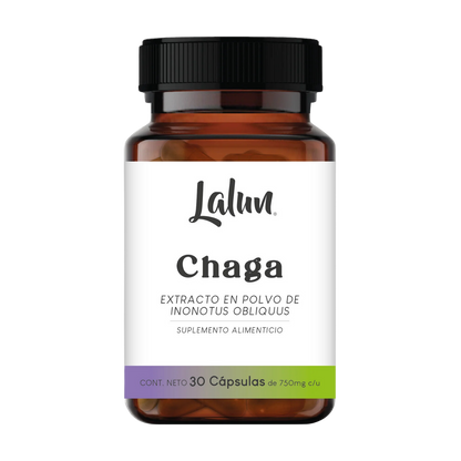 CHAGA