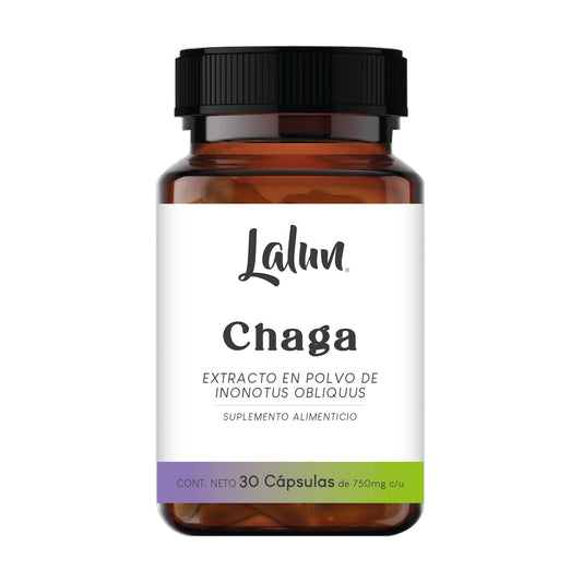 Chaga