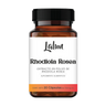 RHODIOLA ROSEA